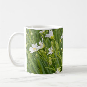 Prächtige Sternmierenblüten im Wald Kaffeetasse