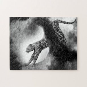 Prächtiger Leopard.