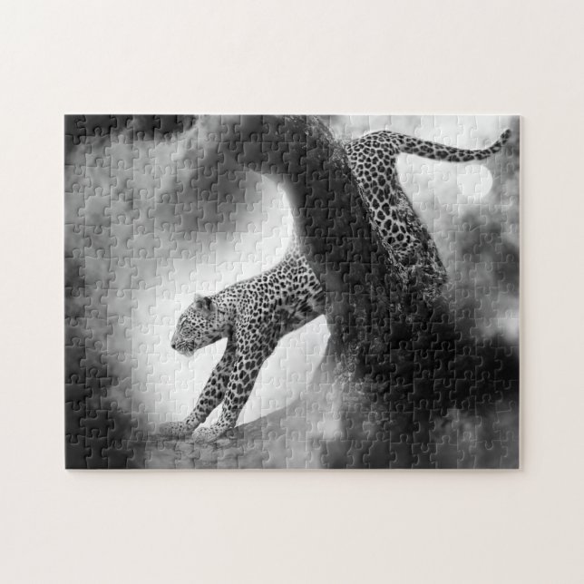 Prächtiger Leopard. (Horizontal)