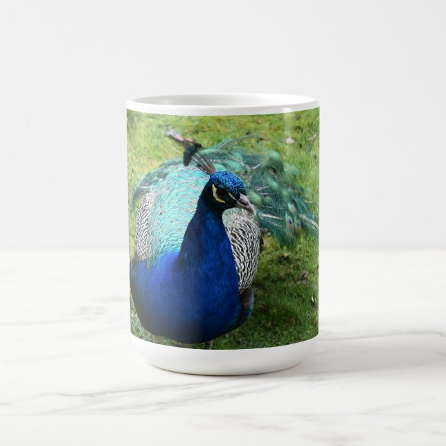Prächtiger Pfau  Kaffeetasse (Mittel)