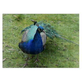 Prächtiger Pfau Schneidebrett