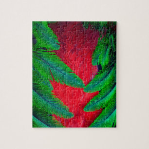Prächtiges Quetzal-Federdesign
