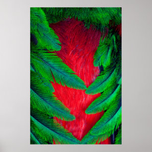 Prächtiges Quetzal-Federdesign Poster
