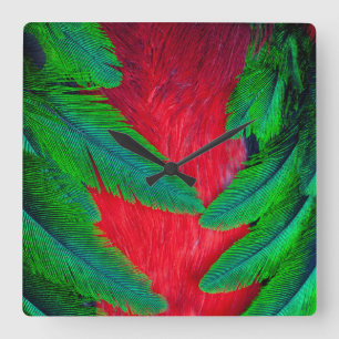 Prächtiges Quetzal-Federdesign Quadratische Wanduhr