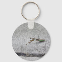 Prachtmantis Schlüsselkette