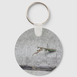 Prachtmantis Schlüsselkette Schlüsselanhänger