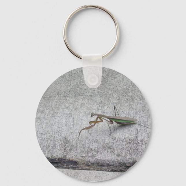 Prachtmantis Schlüsselkette Schlüsselanhänger (Vorderseite)