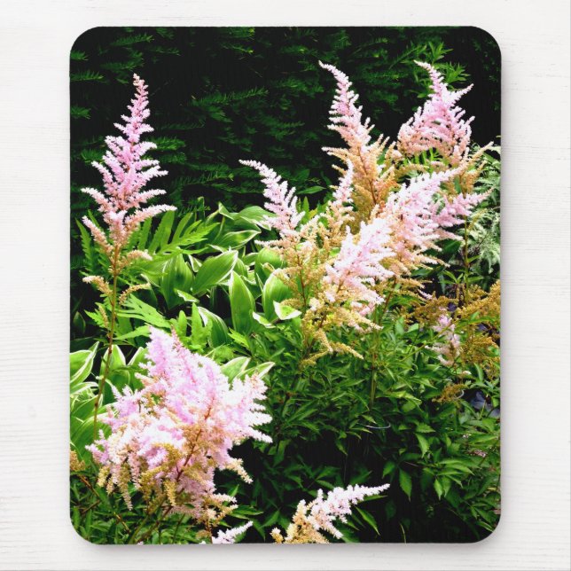 Prachtspiere Mousepad (Vorne)
