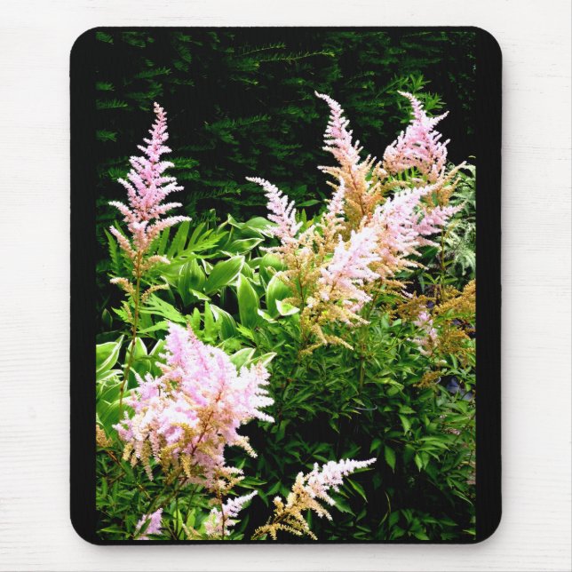Prachtspiere Mousepad (Vorne)