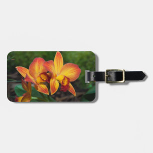 Prachtvolle Orange Gelbe Rhyncattleanthe Orchidee Gepäckanhänger