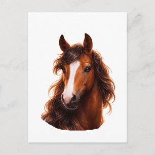 Prachtvolles, braunes Pferd mit weißer Blesse Postkarte