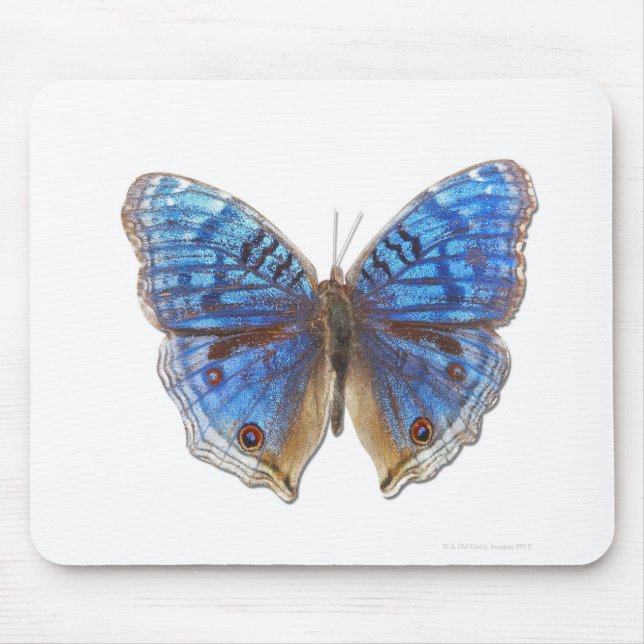 Präcis-Rhadama Mousepad (Vorne)