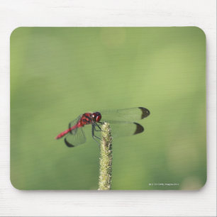 Präfektur Yamanashi, Honshu, Japan Mousepad