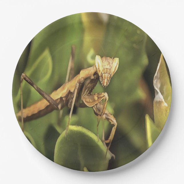 Pragation Mantis Portrait Insekt Kunst Pappteller (Vorderseite)