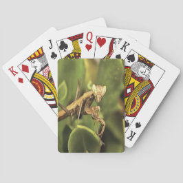 Pragation Mantis Portrait Insekt Kunst Spielkarten