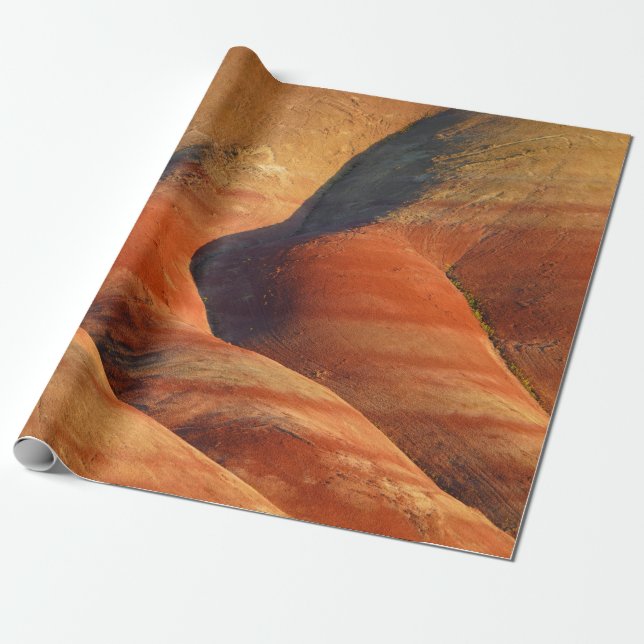 prähistorisch geschenkpapier (Ungerollt)