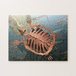 PRÄHISTORISCHE SCHILDKRÖTE-KNOCHEN