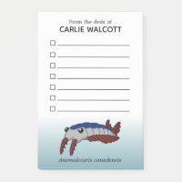 Prähistorische tierische Anomalocarine mit Checkli