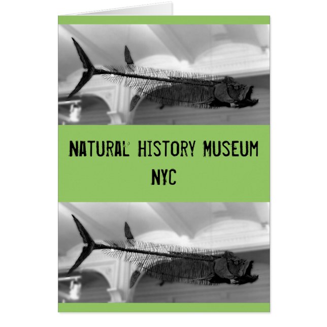 Prähistorischer Fisch B+W (Vorne)