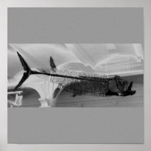 Prähistorischer Fisch B+W Poster
