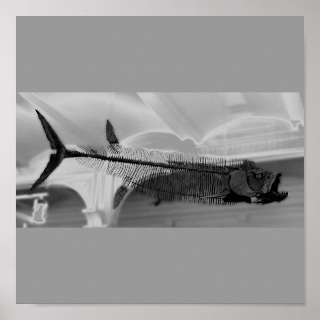 Prähistorischer Fisch B+W Poster (Vorne)