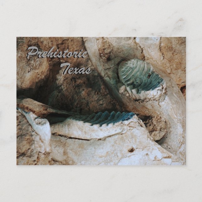Prähistorisches Texas Postcard Postkarte (Vorderseite)