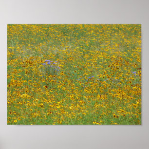 Prairie-Blume, Indiana Poster