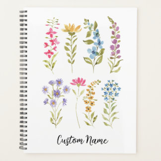 Prairie de fleurs sauvages alpines
