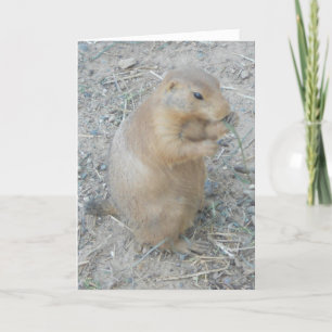 "Prairie Dog #1" Dankeschön Karte