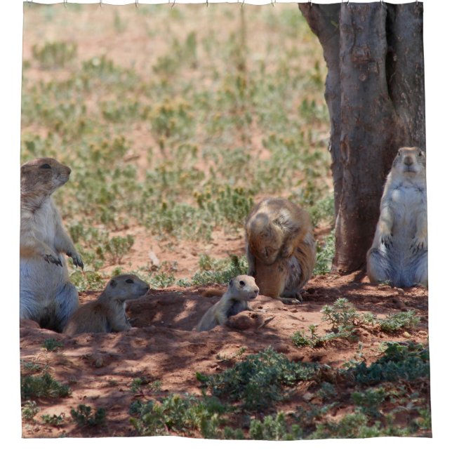Prairie Dog Family Duschvorhang (Vorderseite)
