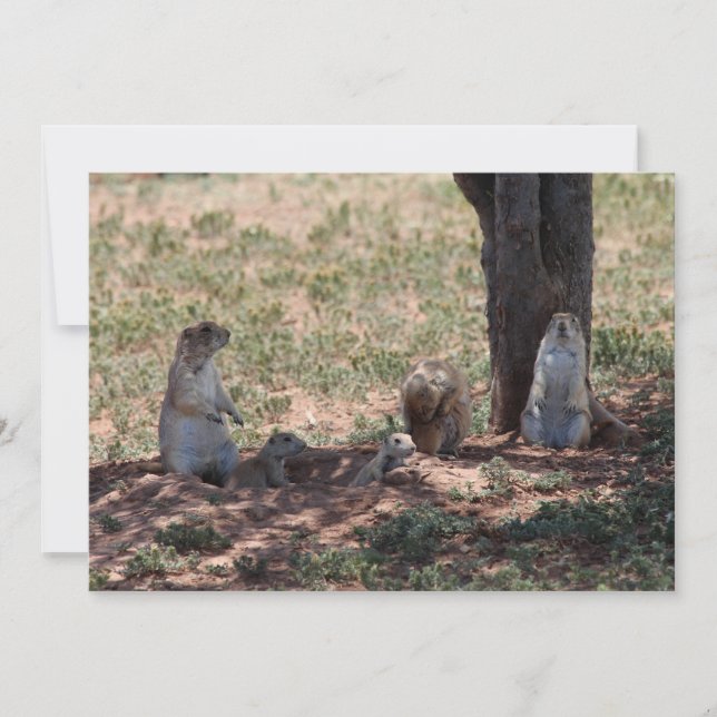 Prairie Dog Family Mitteilungskarte (Vorderseite)