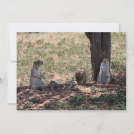 Prairie Dog Family Mitteilungskarte