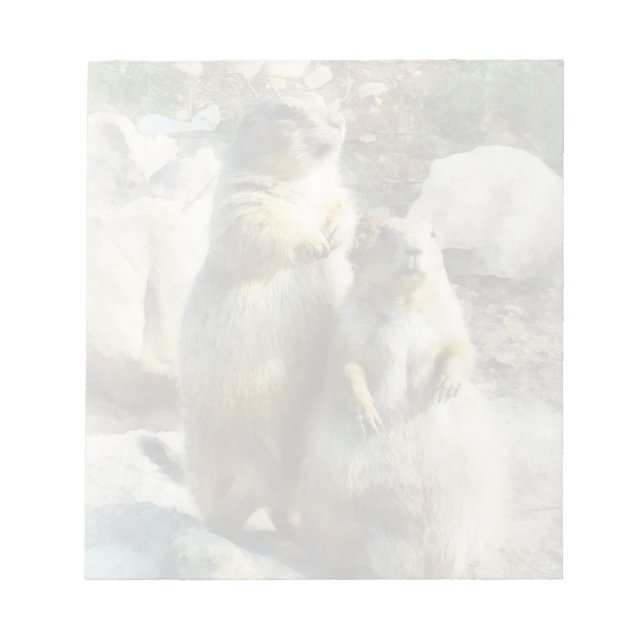 Prairie Dog Formal Portrait Notizblock (Vorderseite)