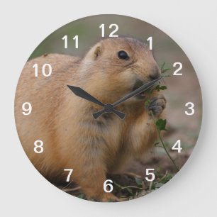 prairie dog große wanduhr