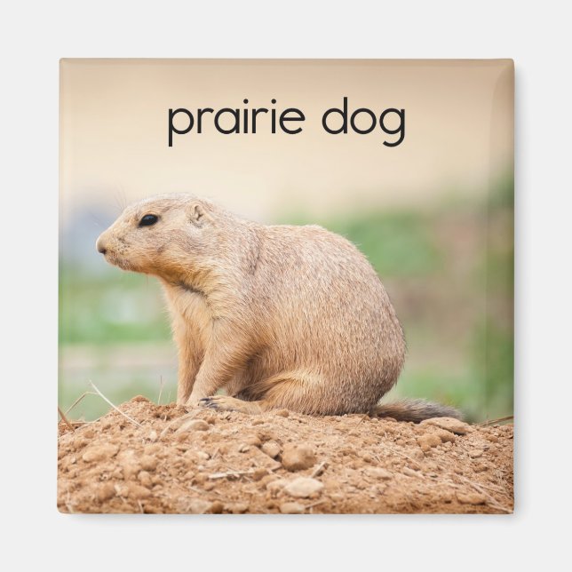 Prairie Dog Kühlschrank Magnet (Vorne)