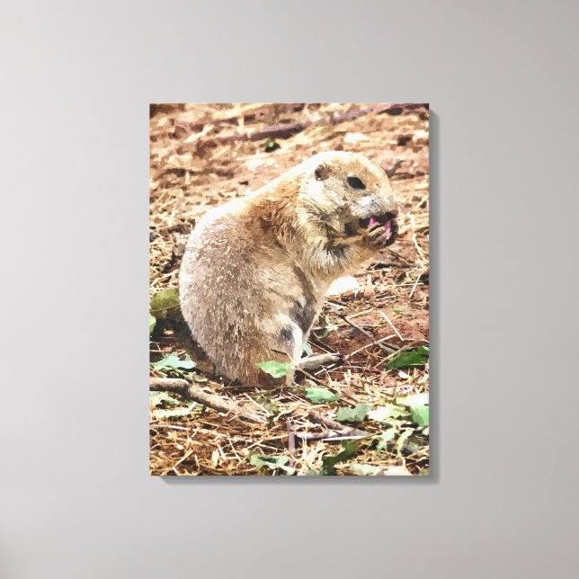 PRAIRIE DOG LEINWANDDRUCK (Vorderseite)