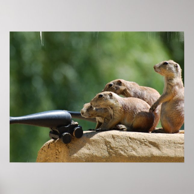 Prairie Dog Soldiers Poster (Vorne)