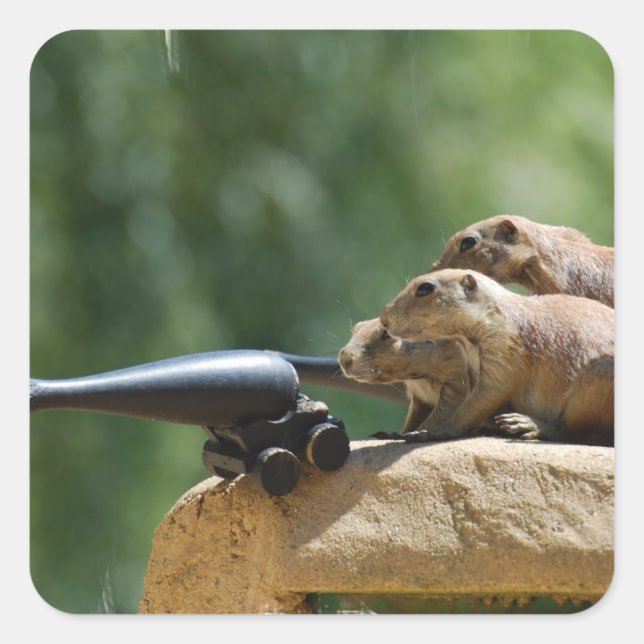 Prairie Dog Soldiers Stickers (Vorderseite)