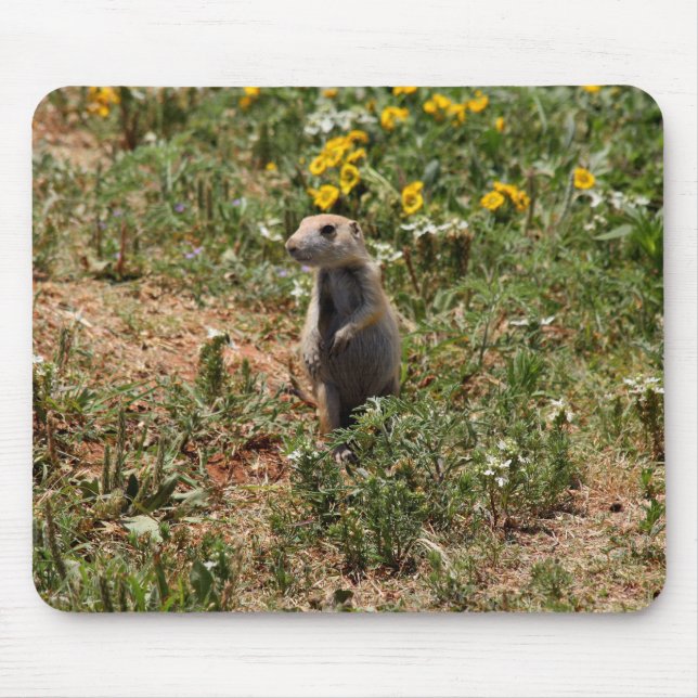 Prairie Dog Solo Mousepad (Vorne)