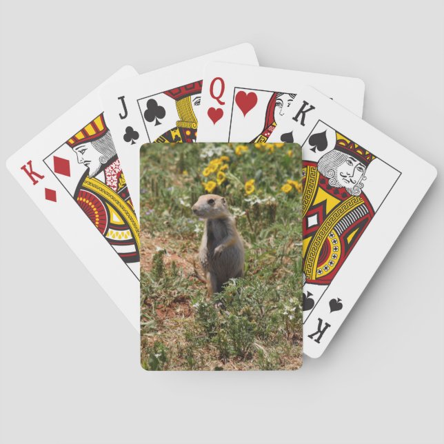 Prairie Dog Spielkarten (Rückseite)