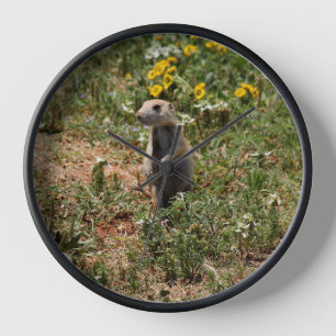 Prairie Dog Uhr
