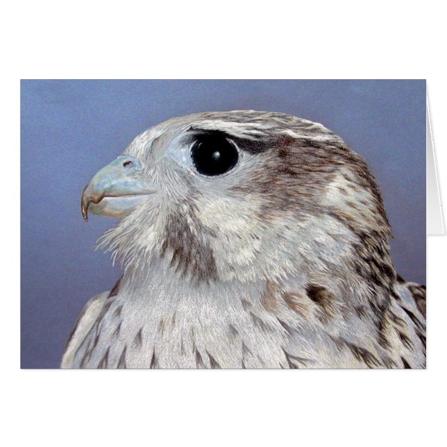 Prairie Falcon Karte (Vorderseite (Horizontal))