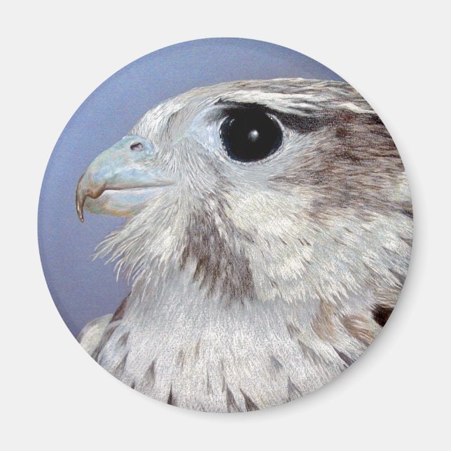 Prairie Falcon Magnet (Vorne)