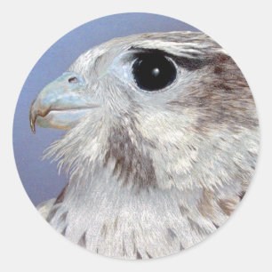Prairie Falcon Runder Aufkleber