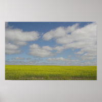 Prairie Fields Print Manitoba Landschaftsdrucke