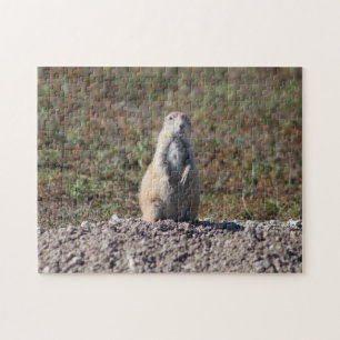 Prairie Hund im Badlands National Park, Interior S