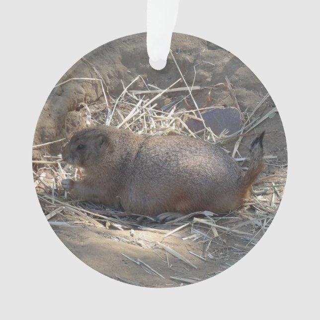 Prairie-Hund mit schwarzem Schwanz # Ornament (Vorderseite)