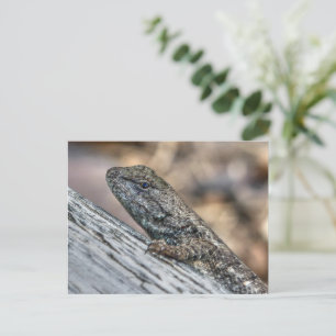 Prairie Lizard Postkarte