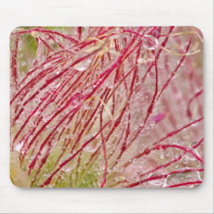 Prairie Rauch im Regen bei Theodore Mousepad