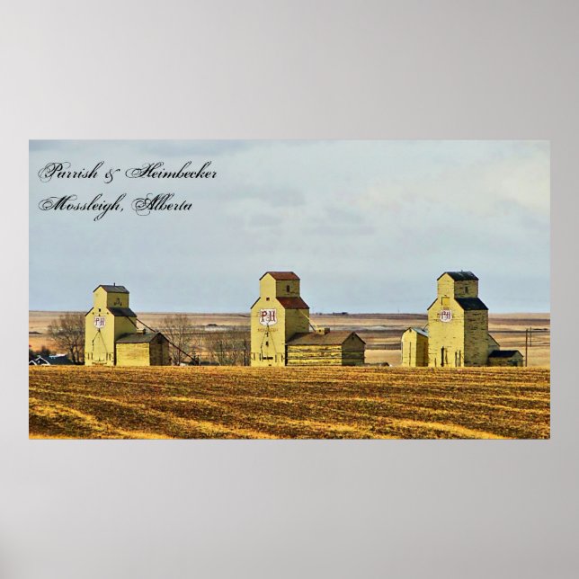 Prairie Sentinels Mossleigh Alberta Poster (Devant)